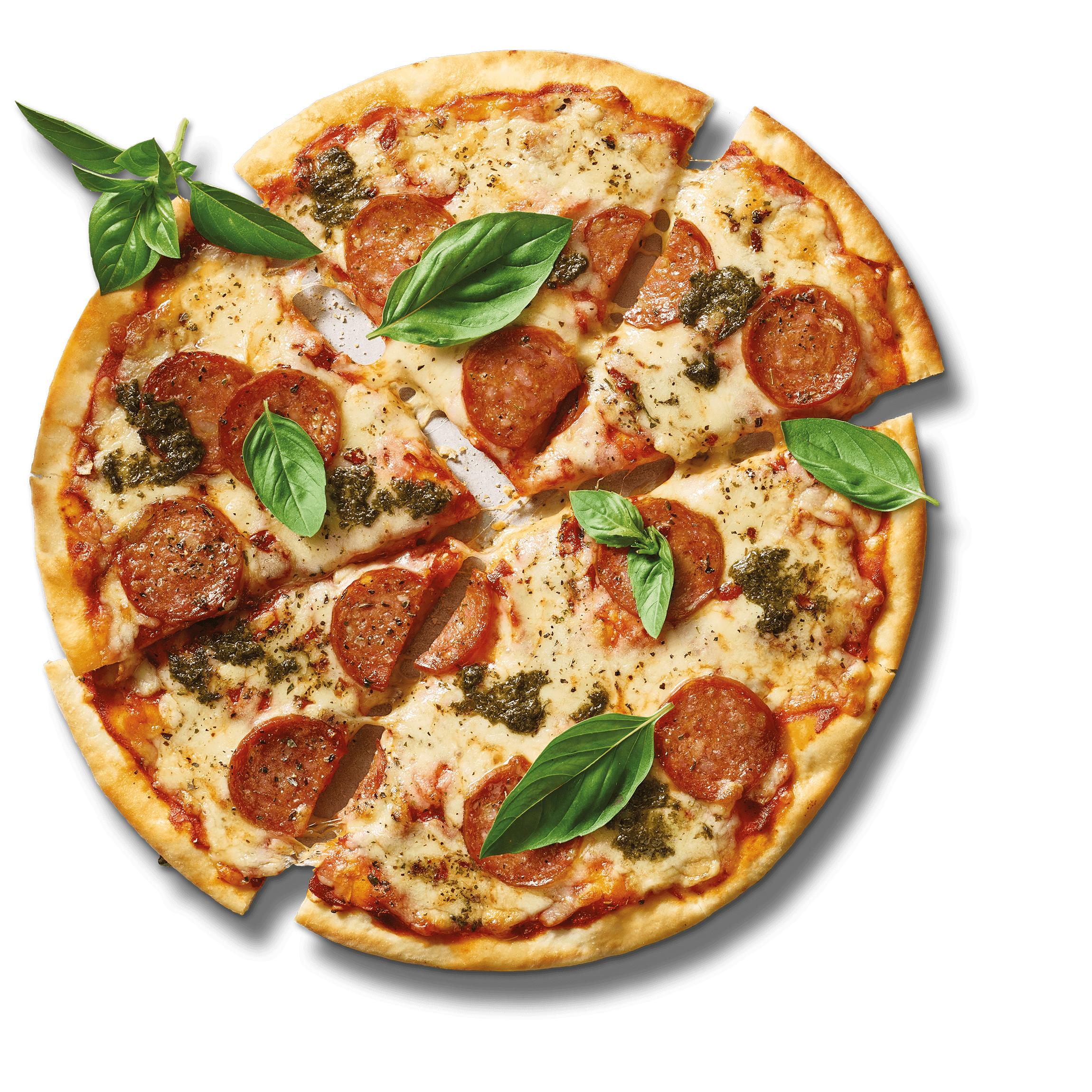 Salami & Four Cheese Pizza Photo