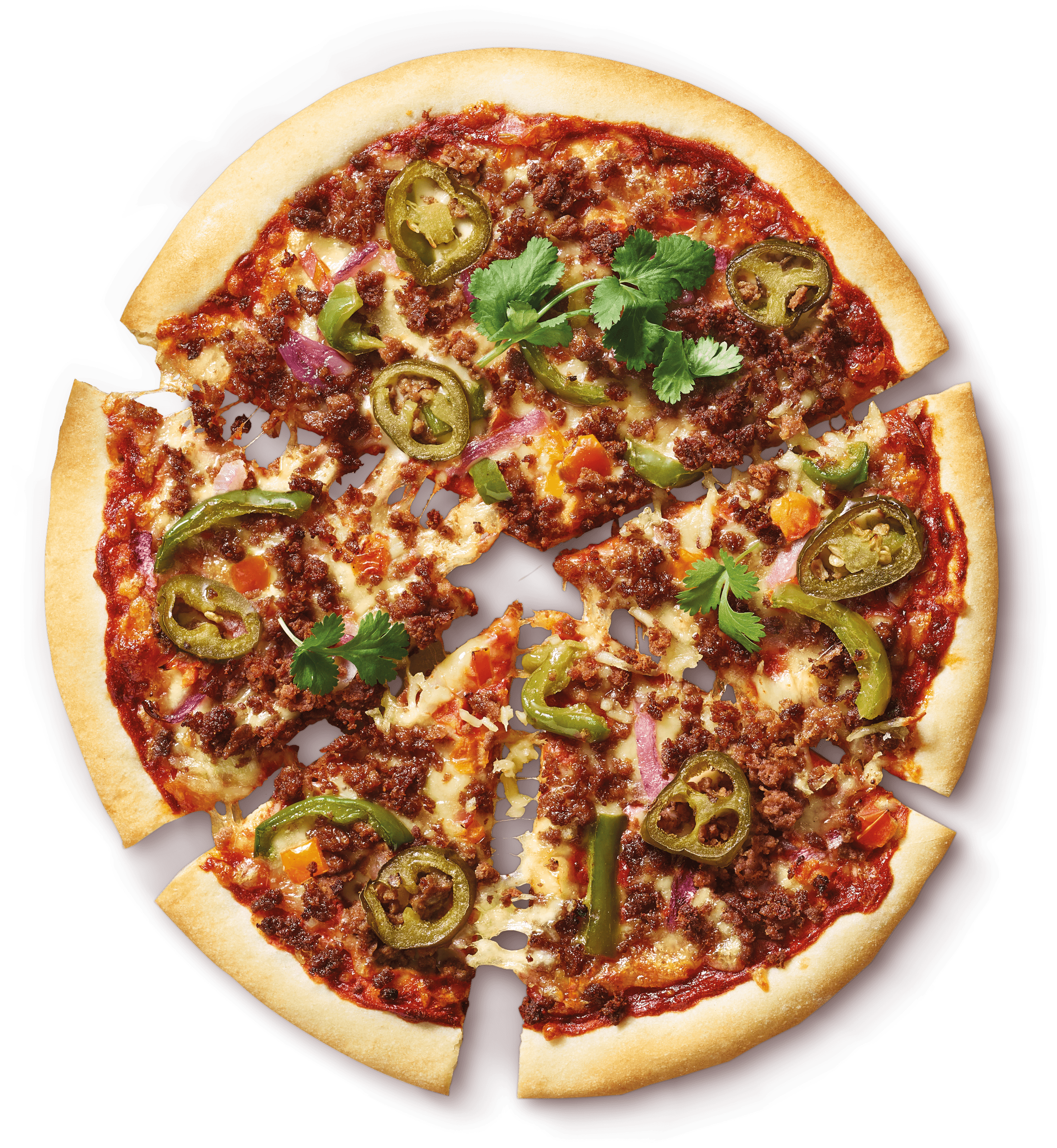 Mexican Style Pizza Photo