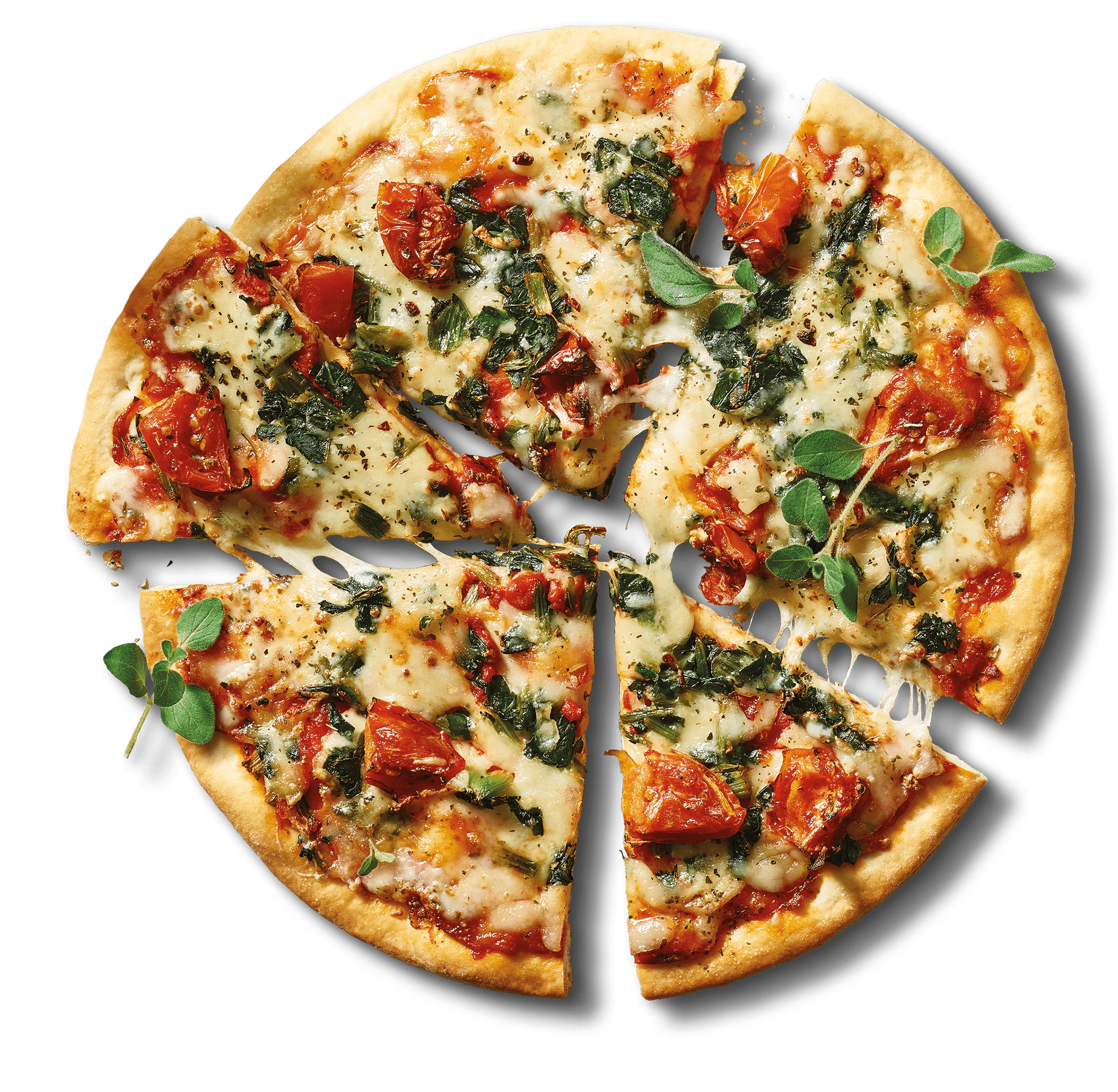 Spinach & Mozzarella Pizza Photo