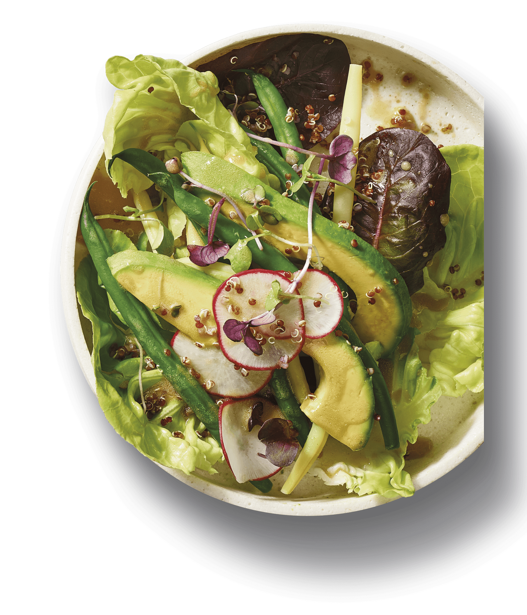 Avocado, Bean and Quinoa Salad with Micro Herbs